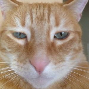 Meet your Posher, Trish